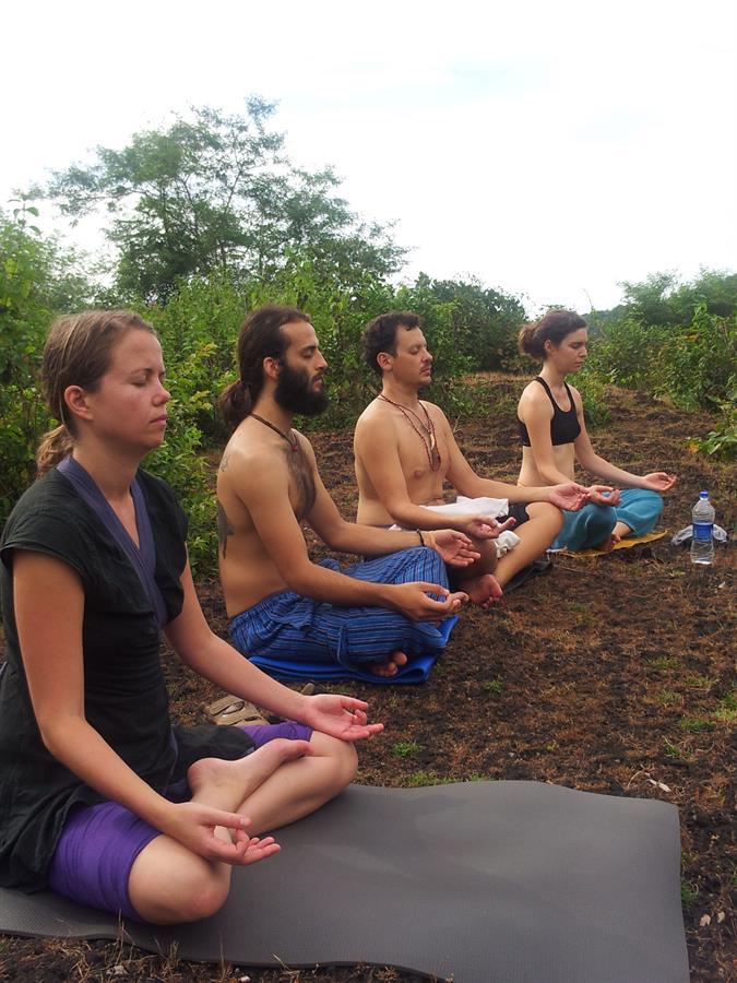 Yoga Meditation in Nature